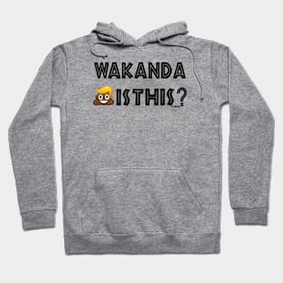 Wakanda Shit Is This? (v. 45) Hoodie